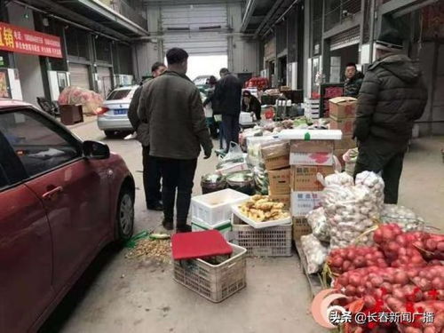 長春市多措并舉保障市民“菜籃子”供應與新鮮水果零售穩定