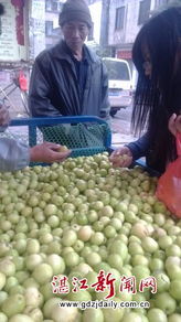 春暖果香價更親，應季鮮果正當時